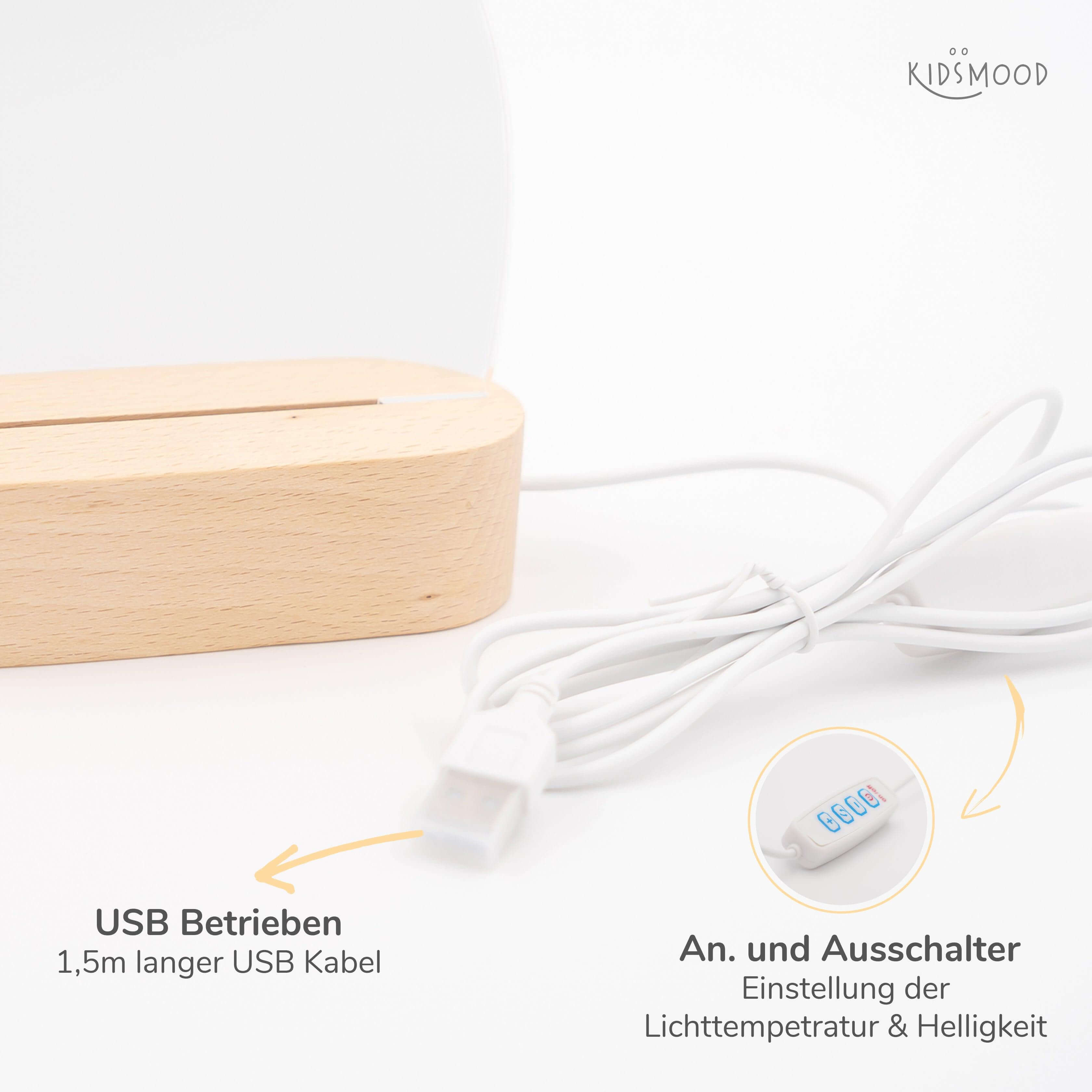 detailansicht der gravur auf der nachtlampe mit safari und geburtsdatum