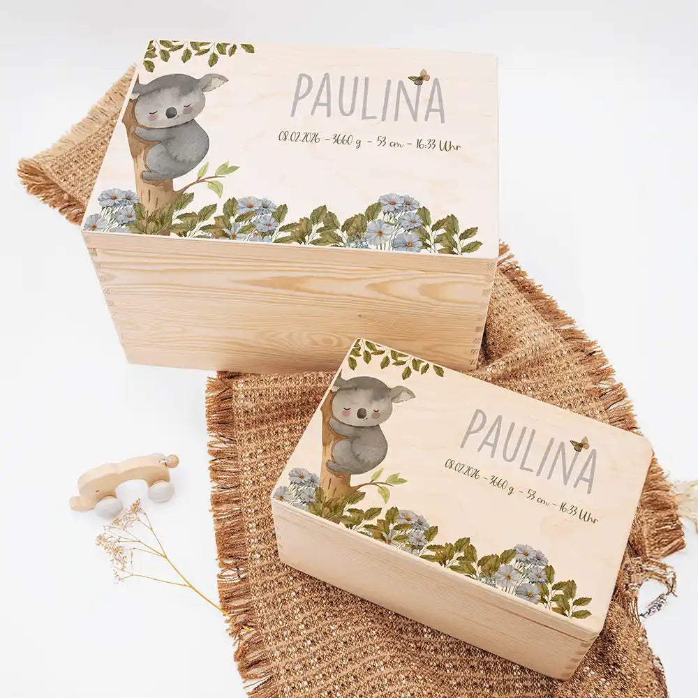Erinnerungsbox Baby Koala