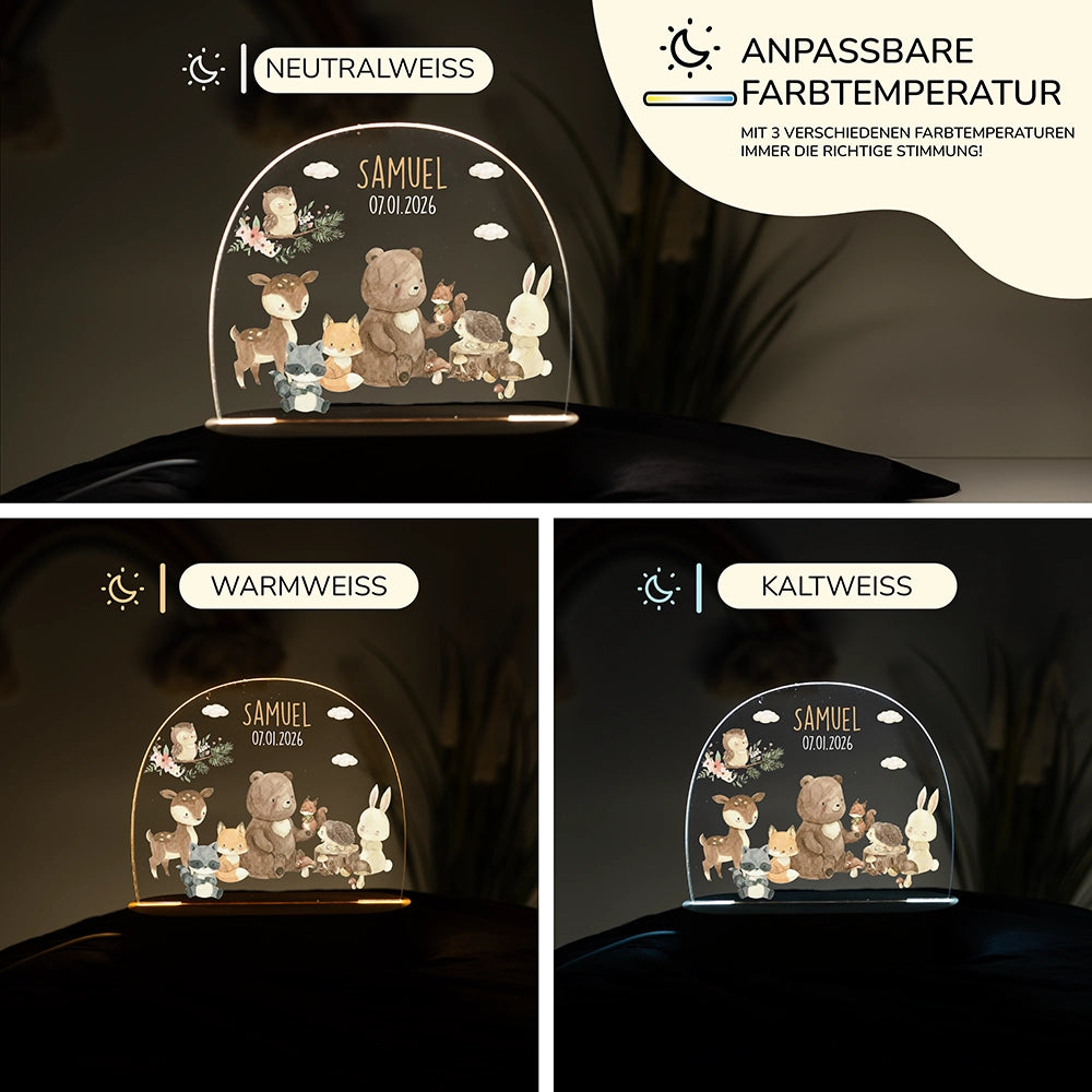 Nachtlicht Bär fürs Kinderzimmer in drei Lichtfarben: Warmweiß, Neutralweiß und Kaltweiß