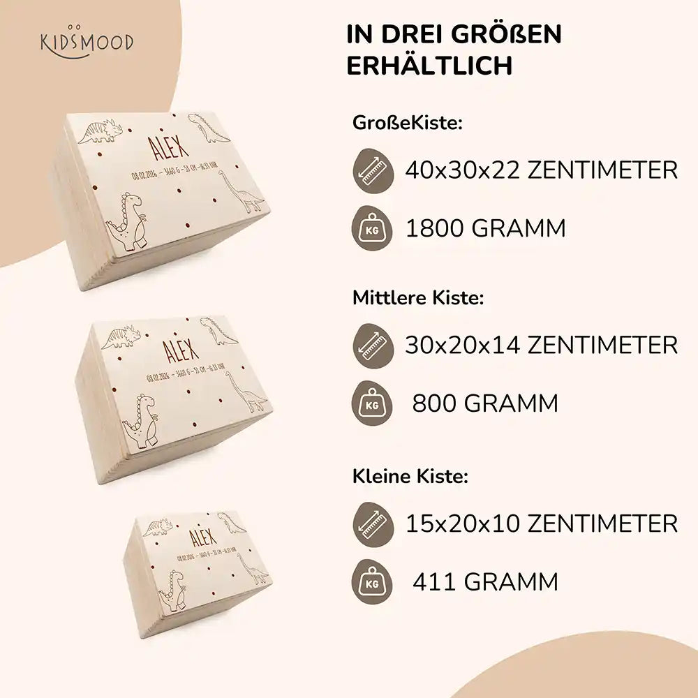 Personalisierte Erinnerungskiste - Dino Familie