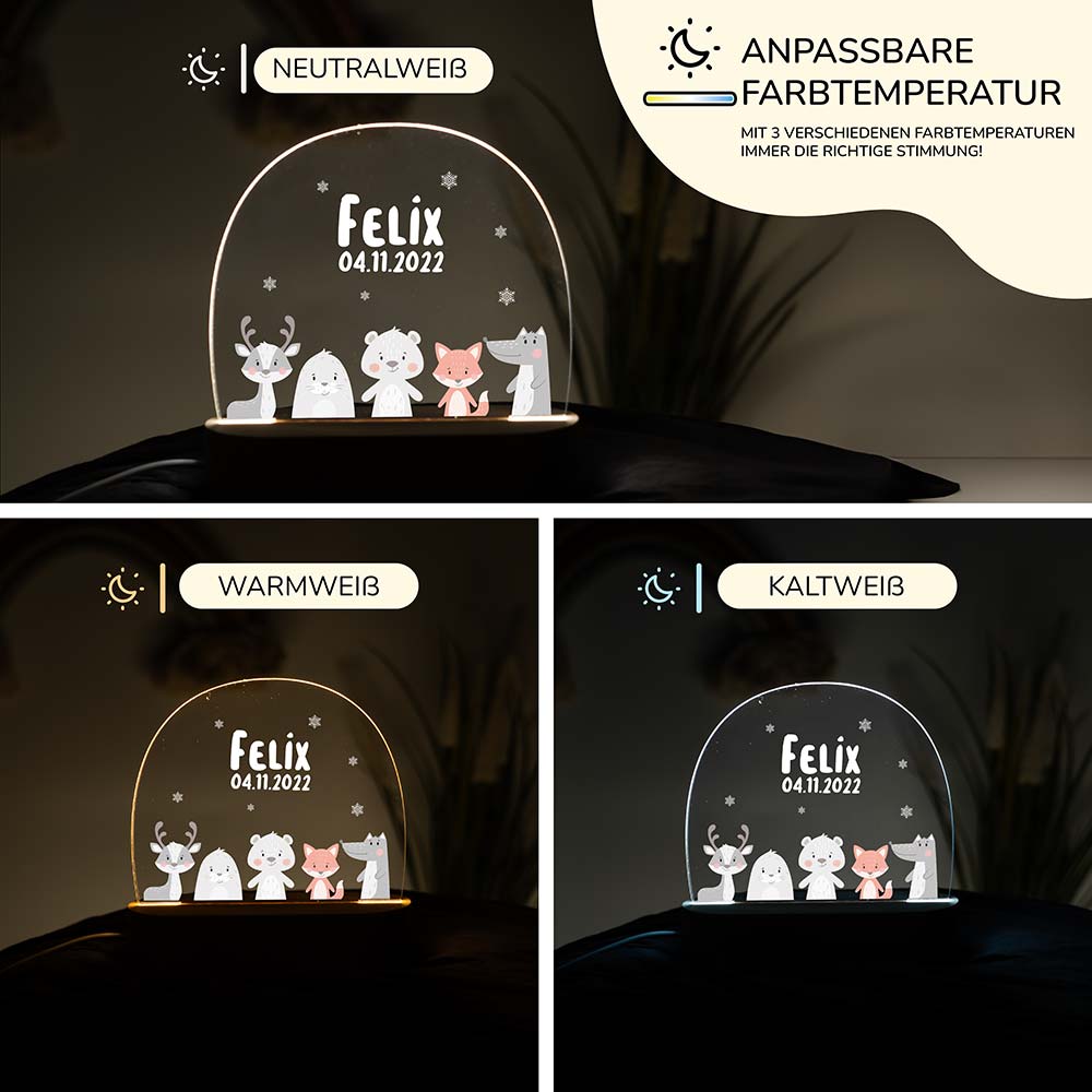 Personalisierte Nachtlampe für Kinder - Winter Tiere (Elch, Robbe, Bär, Fuchs, Krokodil) mit Schneeflocken - Name und Geburtsdatum